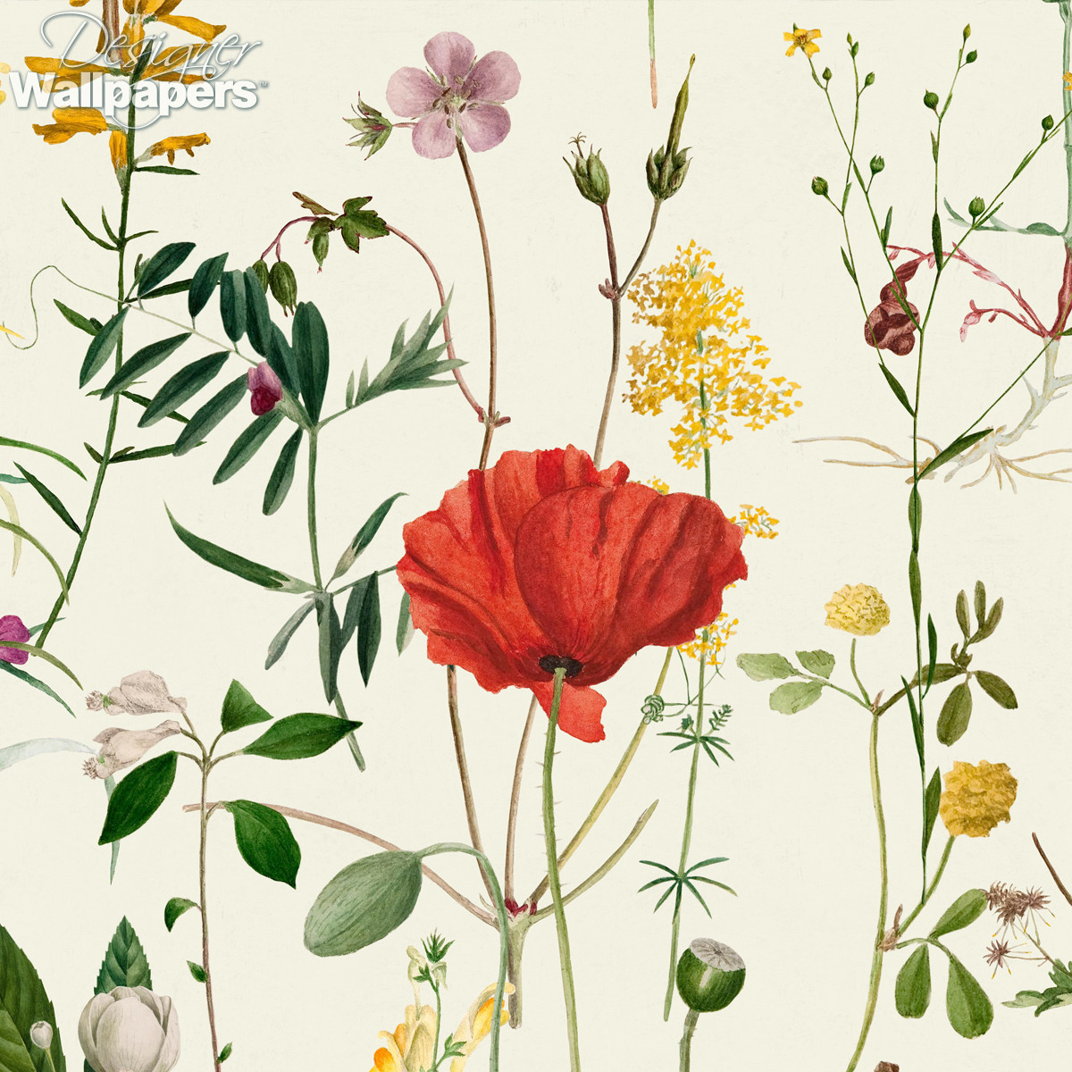Mind The Gap Aquafleur - Free Next Day Delivery | Designer Wallpapers ™