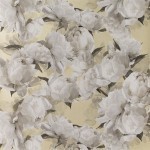 Designers Guild Peonia PDG1094/04  Coloured flowers in ivory on a soft metallic gold background