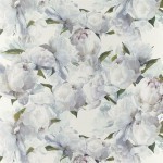 Designers Guild Peonia PDG1094/02 Coloured flowers in snow white tinged with pink on an ivory background