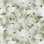 Designers Guild Peonia PDG1094/03  Coloured flowers in snow white tinged with chartreuse on an ivory ...