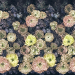 Designers Guild Le poeme de fleurs PDG1107/02 Displays of massive blooms in violet blue, peach and yellow accents...