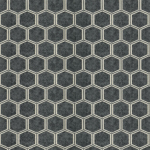 Designers Guild Manipur PDG1121/04  charcoal