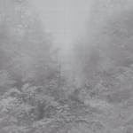 Armani Casa IOLANTA 9401 Silver, Grey