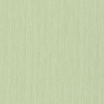 Jannelli & Volpi COTTON YARN JV-3047 Soft green