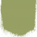  Asparagus fern  no 94  perfect paint  