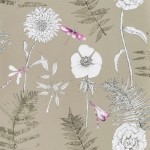 Designers Guild Acanthus  PDG1022/03 Gold- purple on a gold background

