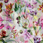 Designers Guild Tulipa stellata PDG1037/01  fuchsia