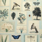 John Derian Flora and fauna PJD6001/02  cloud blue