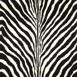 Ralph Lauren Bartlett zebra PRL5017/04  charcoal