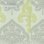 Nina Campbell Bergonzi NCW4013-03 