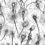 Alexander Meli Dandelions AMW0101-01 Charcoal and white.