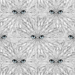 Alexander Meli Peeping Feathers AMW0102-03 Pale blue eyes on monochrome plumage.