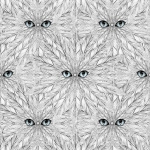 Alexander Meli Peeping Feathers AMW0102-03 Pale blue eyes on monochrome plumage.