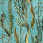 Mind The Gap AQUATIC PLANTS WP20716 AQUATIC PLANTS Aquamarine Wallpaper