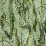 Mind The Gap AQUATIC PLANTS WP20717 AQUATIC PLANTS Wallpaper