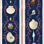 Mind The Gap COQUILLAGE