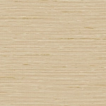 Today Interiors A LOT MORE TEXTURES CP90200-CP90248 CP90207 A soft sand beige background with light horizontal stripes in taupe...