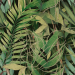  EXOTIC GARDEN WP20515 EXOTIC GARDEN Wallpaper