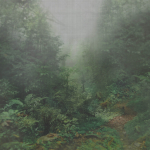 Armani Casa IOLANTA 9400 Green, grey and brown