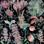 Mind The Gap Garden of Eden WP20324 Black, Blue, Mauve

