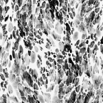 Jean Paul Gaultier MAGMA 3328-01 A rich tapestry of charcoal grey, deep slate, and warm taupe.