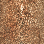 Jean Paul Gaultier PRECIEUX 3326-01 A warm, metallic copper hue that adds a touch of sophistication and...