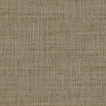 Today Interiors SAVANNAH GRASS LS61102-LS61117 LS61117 Taupe with a hint of warm grey.