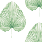 Today Interiors SAVANNAH GRASS LS61602-LS61604 Paperweave LS61604 White background with light green palm leaves.