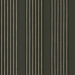 Nina Campbell Abbotsford NCW4123-07 Gloss black and gilver stripes on matte charcoal.