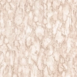 Nina Campbell Kershaw Plain NCW4204-03 Plaster and tobacco