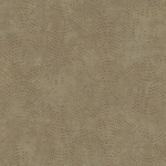 Today Interiors Panthera Splash