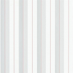 Ralph Lauren Aiden Stripe PRL020/13 Granite / Red