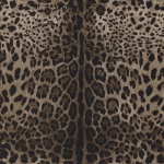 Dolce & Gabbana LEOPARDO
