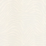 Dolce & Gabbana ZEBRA DOLCE TCW007TCAI9UZ026 Classic ivory background with bold black zebra stripes.
