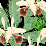 Mind The Gap Treasure Island WP20364 Black, Green, Red, White
