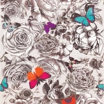 Osborne & Little Butterfly Garden