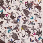 Osborne & Little Bird Song W6596-01 Bright and beautiful multi coloured birds and butterflies, black an...