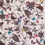 Osborne & Little Bird Song