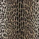 Osborne & Little Pantanal W6759-03 Gold, brown and beige