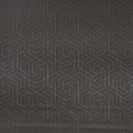 Osborne & Little Hexagon Trellis W7352-07 Shadowed trellis in metallic gilver and black on charcoal background