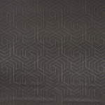 Osborne & Little Hexagon Trellis W7352-07 Shadowed trellis in metallic gilver and black on charcoal background