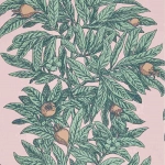 Osborne & Little Medlar W7458-01 Blush / Mint