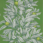 Osborne & Little Medlar W7458-05 Garden Green / Lime
