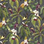 Osborne & Little Michelia W7612-01 Charcoal - Multicoloured birds in vibrant shades of purple and yell...