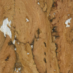 Osborne & Little Kanoko Cork W7820-10 Wood Ash