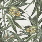 Mind The Gap Exotic Fruit II WP20098 Green, Grey, Yellow
