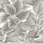 Today Interiors Shades of White Calla WS70318 