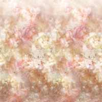 Designers Guild Fleur de nuit pale coral