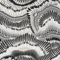 Designers Guild Prete moi ta plume