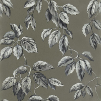 Designers Guild Jangal